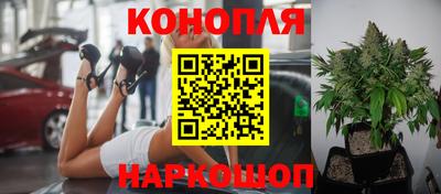 бошки Дубна