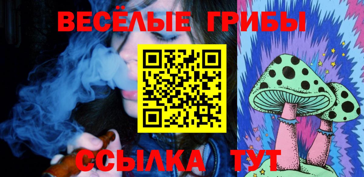Галлюциногенные грибы Cubensis  Галлюциногенные грибы Psilocybe  Магнитогорск  Вход с VPN 